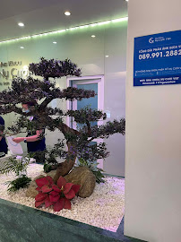 Nha Khoa Nụ Cười Việt 1