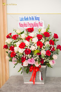 An Tâm Smile - Nha khoa thẩm mỹ Hội An