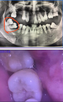 Damansara Heights Dental Centre (DHDC)