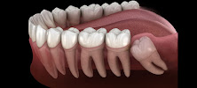 Dentists Özlem Özcan
