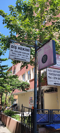 Dentists Özlem Özcan