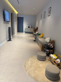 Dentistree Bangsar Dental Clinic