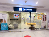 Toothmate Dental & Co