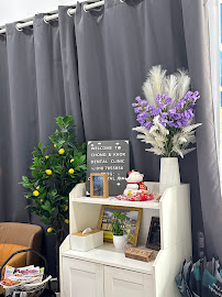 Klinik Pergigian Chong & Khor (Austin) | CK Dental Clinic | 张许牙科