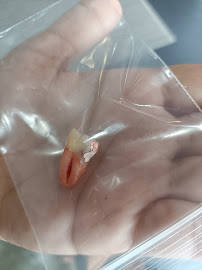 Klinik Pergigian Pearl
