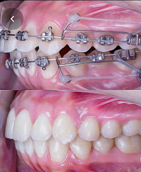 Dentist Martha Novais