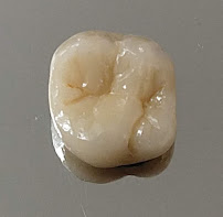 Dra Kátia Fragoso - KAVI Art Clinic