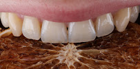 Dental - Smile4you by Sanja Nikolaus