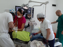Hurčak Jadranka, Dental Practice