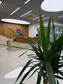 Impladent Oral and Maxillofacial Clinic