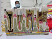 Dentist @ Beach
