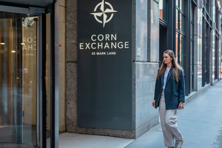 The Dental Surgery - dental clinic in London, United Kingdom