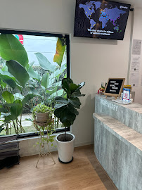 The Garden Dental