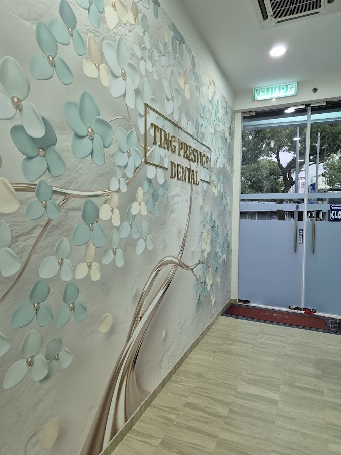 Klinik Pergigian Ting Prestige Dental 丁牙科診所 - dental clinic in George Town