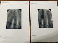 Tee Endodontics Dental Specialist Clinic