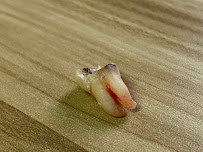 Smileland Dental Clinic
