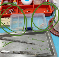 Q&M Dental Clinic - SS2 & CS TAN (Invisalign Braces Provider)