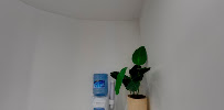 VORALDENT