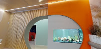 Clínica FL Dental | Madrid