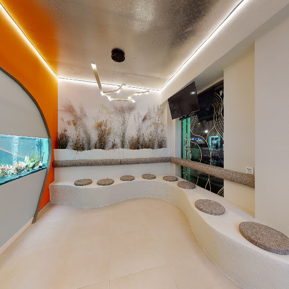 Clínica FL Dental | Madrid