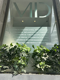 Medical Dental Princess