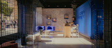 ONWhite - Blanqueamiento Dental Madrid realizado por dentistas