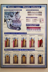 Delta Dent Dental Clinic Madrid