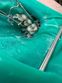 Batumi Leader Dentist