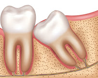 Klinik Gigi Griya Denta - Buaran