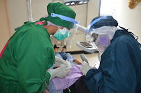 Dear Dentist & Orthodontist