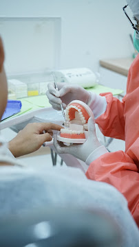 MONODENTAL CLINIC