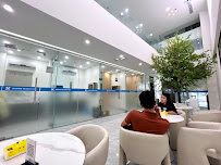 Jasmine Dental Center ( Times City Branch )