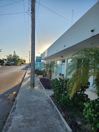 Whiteline Clínica Dental