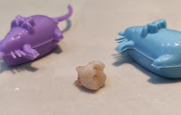 Dentaly Clinica Dental Merida