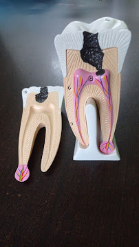 CLÍNICA DENTAL DEL SUR - Clínica Dental en Mérida