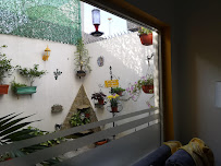 Dentista Monterrey | BMD