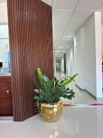 DentalEstetic Puerto Vallarta