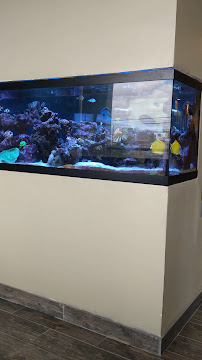 Advanced Dental Care