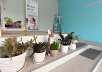 Proud Smile Dental Clinic Phuket คลินิกทันตกรรมพราวด์สไมล์