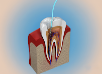 Centrum Stomatologii Dental Esthetic Monika i Piotr SOKÓŁ Kraków