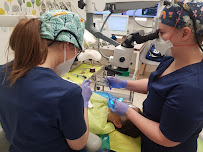 Dentalove Clinic