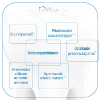 yourdentist.pl