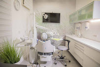 Smile Esthetics
