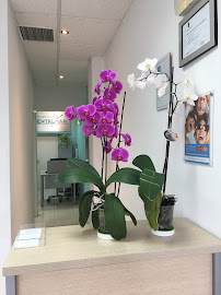 Clínica Dental Dentalmar Marbella