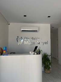Diş Hekimi Müge Tanyel