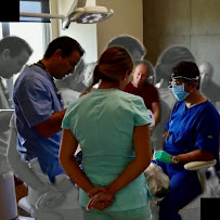 Dentaris Clínica Dental