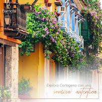 Barrios Ortodoncistas