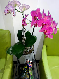 ConfiDental Costa Rica