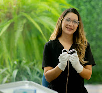 Clinica Dental Castle