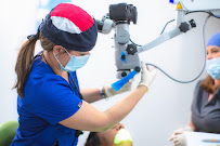 DDS Dental